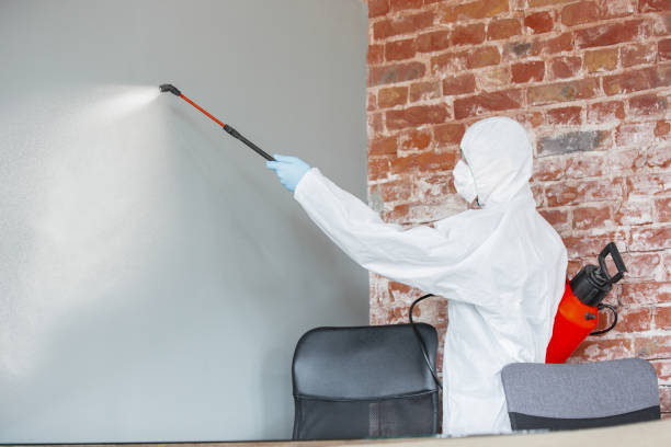 Best Real Estate Mold Inspection  in Pioneer, CA