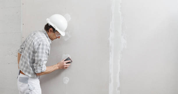 Best Mold Remediation for Rental Properties  in Pioneer, CA