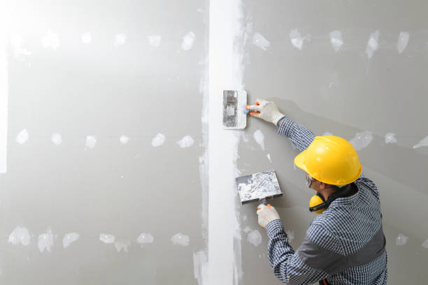 Best Commercial Mold Inspection  in Pioneer, CA