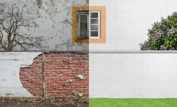 Reliable Pioneer, CA Mold Removal Solutions